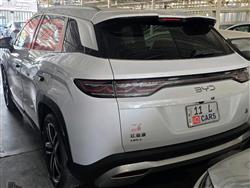 بي واي دي سونغ L DM-i